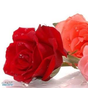 Meet your Posher, Hashim